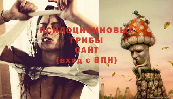 шишки Волосово