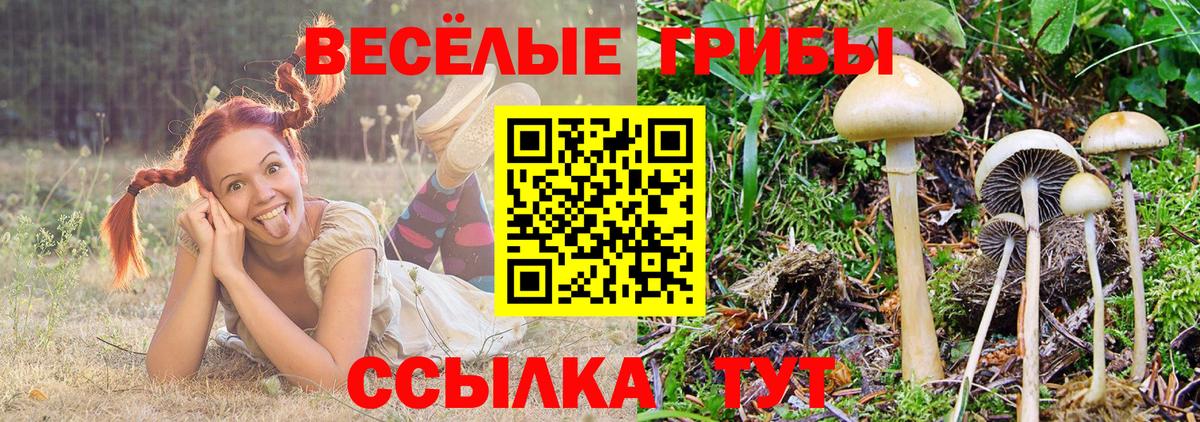 Псилоцибиновые грибы ЛСД  Вход с VPN  Серов 