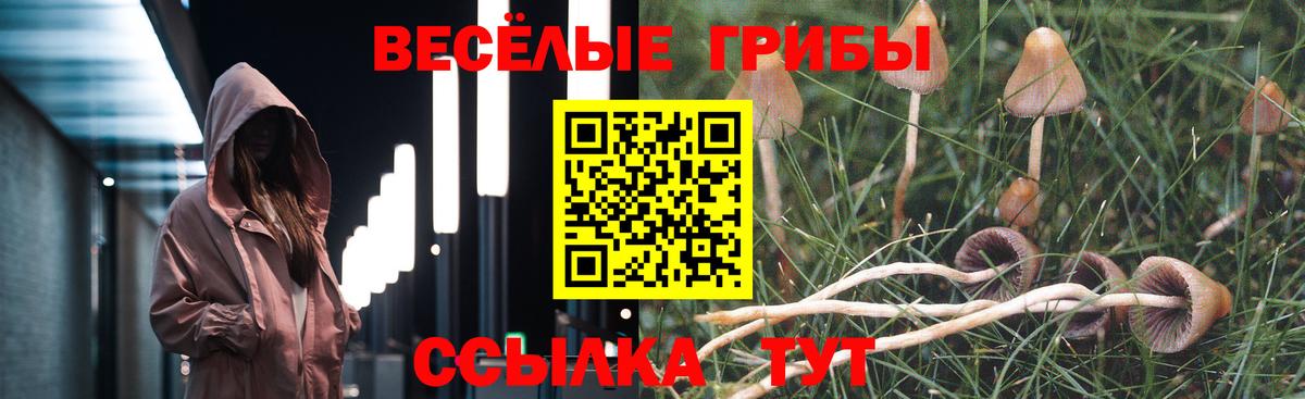 Галлюциногенные грибы Psilocybine cubensis Серов